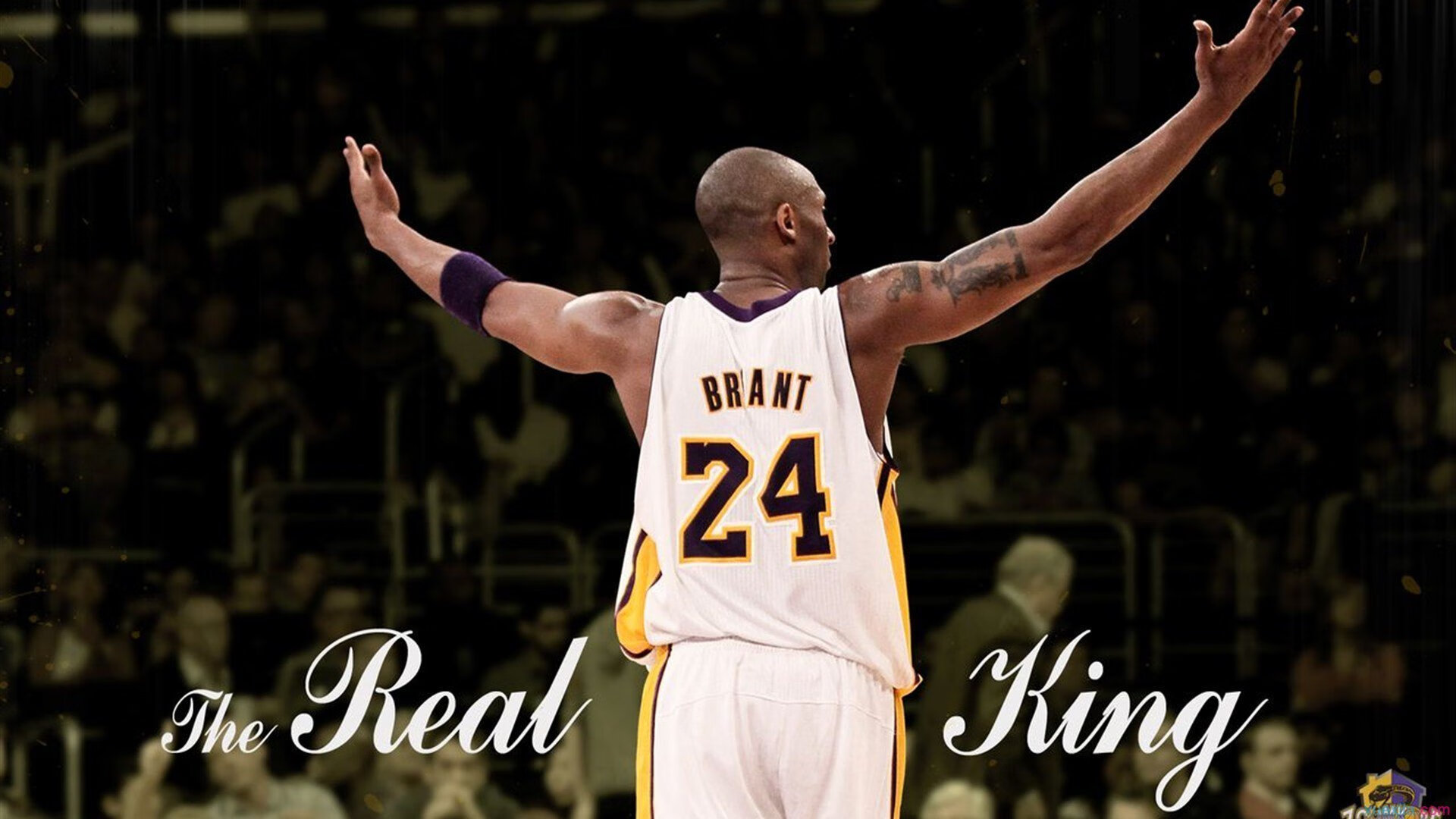 NBA赛季收官战全面打响，多队争夺最后季后赛门票，nba季后赛的